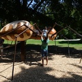 Spider Playground2